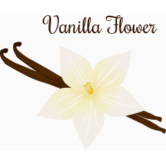 香子兰花朵标签