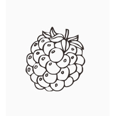 简约线条葡萄