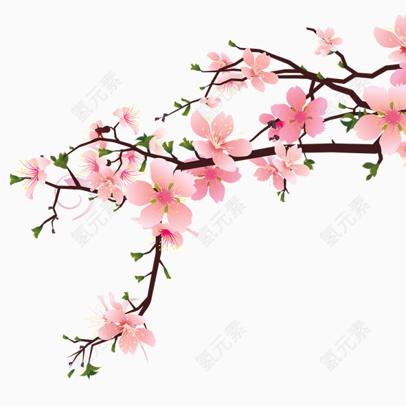 手绘桃花枝叶