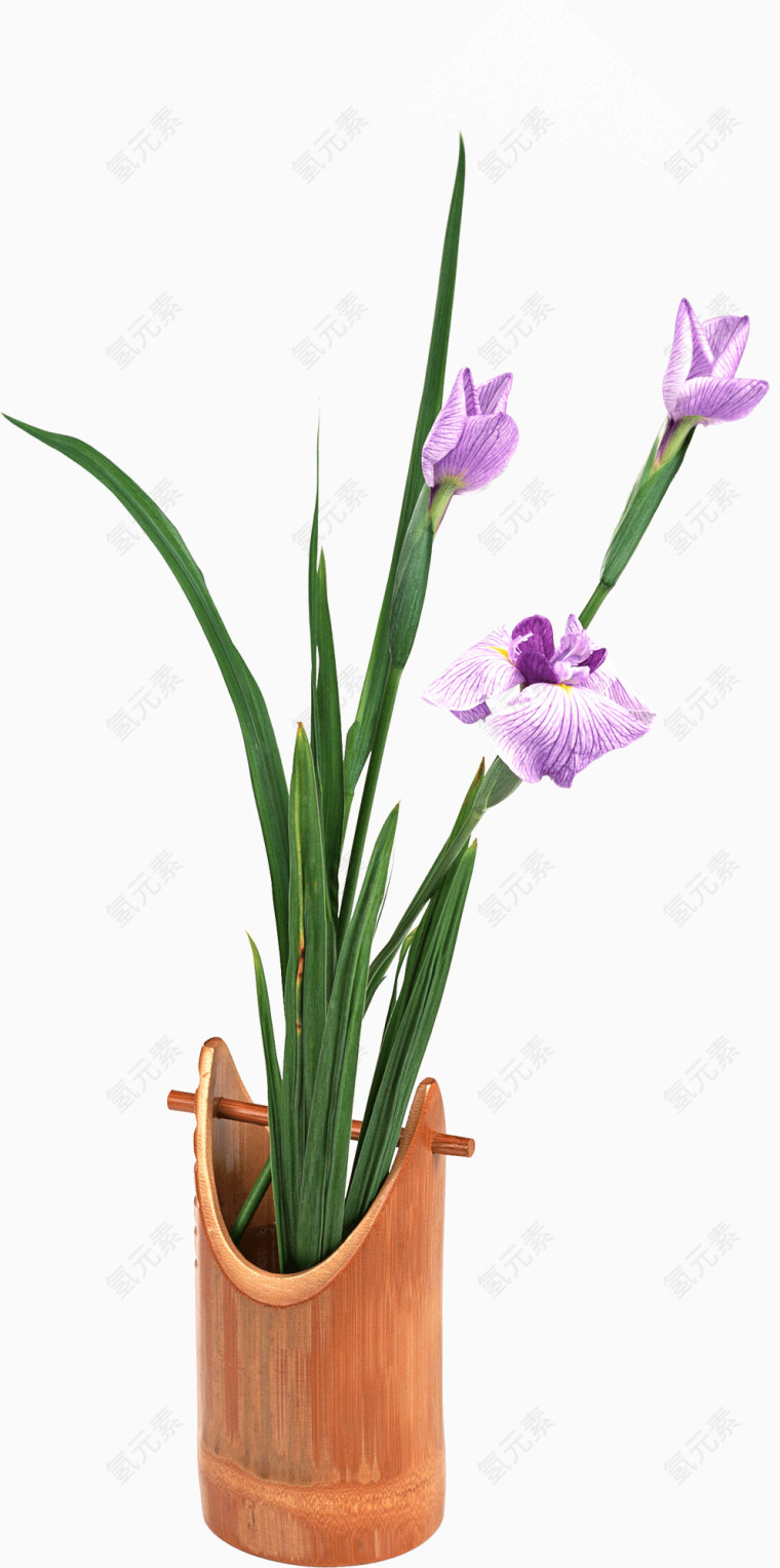 蝶恋花插花