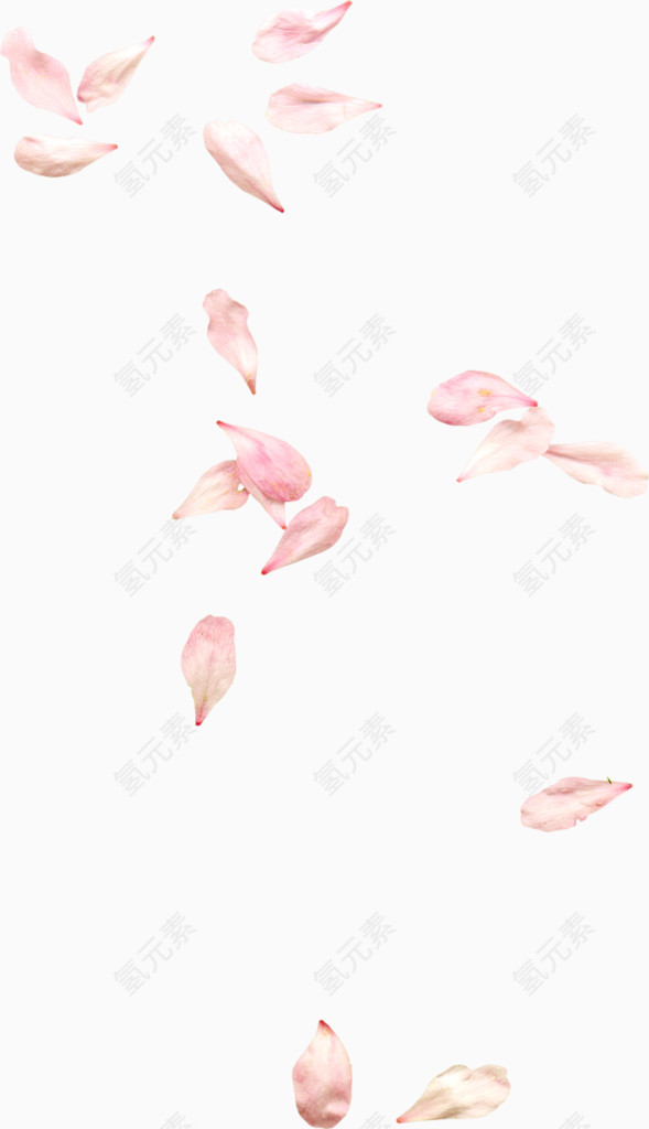 漂落花瓣
