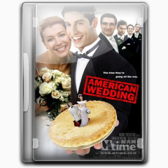 美国派婚礼v3图标