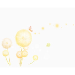 手绘唯美蒲公英