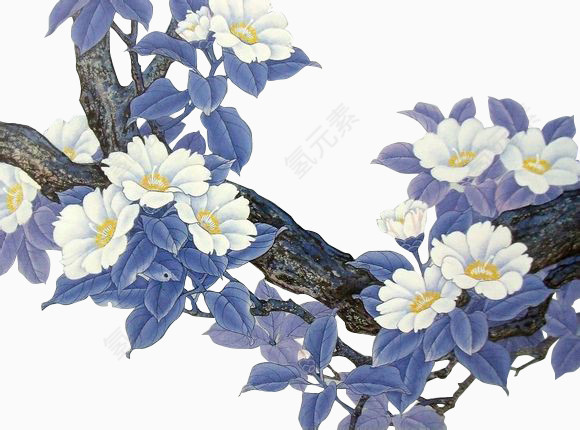 花卉