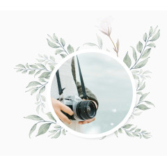 花纹中的摄像机