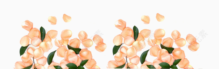 花瓣