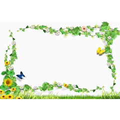 春天  绿色 边框