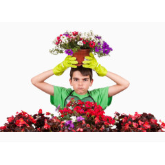 花盆