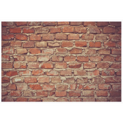 红砖砖墙墙面元素