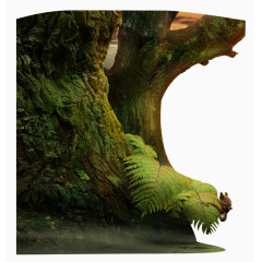 绿色大树干素材 