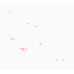 唯美漂浮粉色花瓣