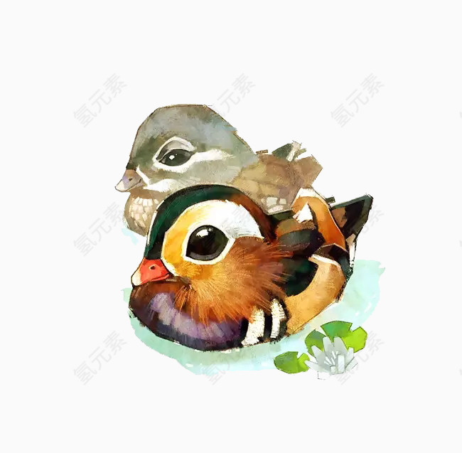 小鸟素材