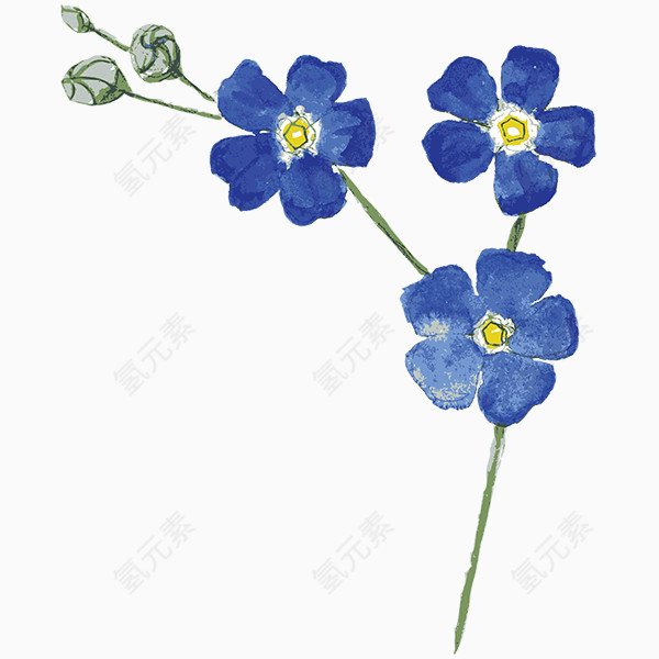 手绘水彩蓝色花卉花朵图片