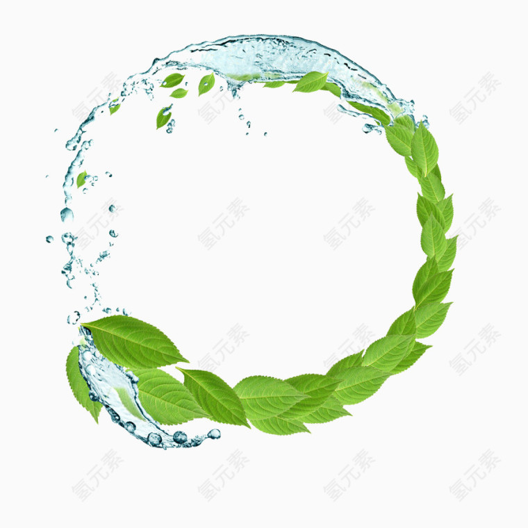 树叶花边框