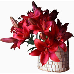 配饰图案手绘古风配饰图片