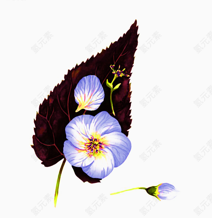 蓝色花瓣加叶子免扣素材