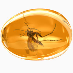 琥珀创业板宝石卡玛尔蚊子珍贵的琥珀自由水晶图标
