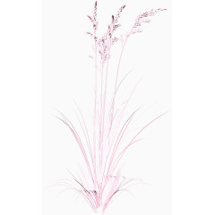 装饰图标植物花卉素材