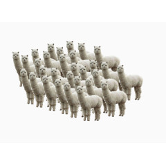 一群草泥马素材图片