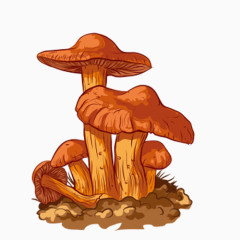 卡通蘑菇
