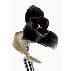 创意花草图片矢量花卉素材