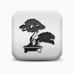 磨砂白广场图标自然奇迹树盆景SC自然奇观