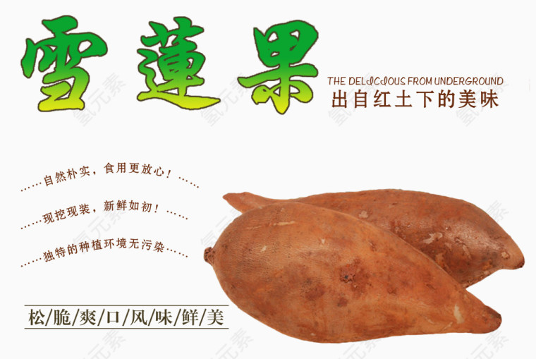 来自红土地的雪莲果
