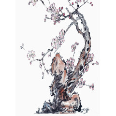 枯树花枝