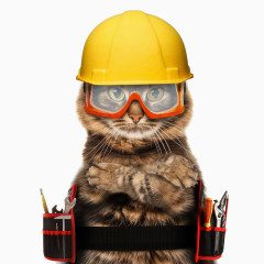 猫咪消防员