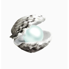 打开的珍珠蚌png