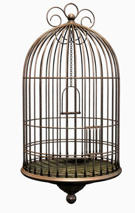 精致鸟笼