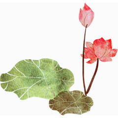 荷花荷叶水彩卡通手绘装饰元素