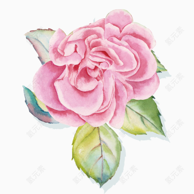 卡通手绘粉色花卉