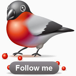 标志inFocus-sidebar-social-icons