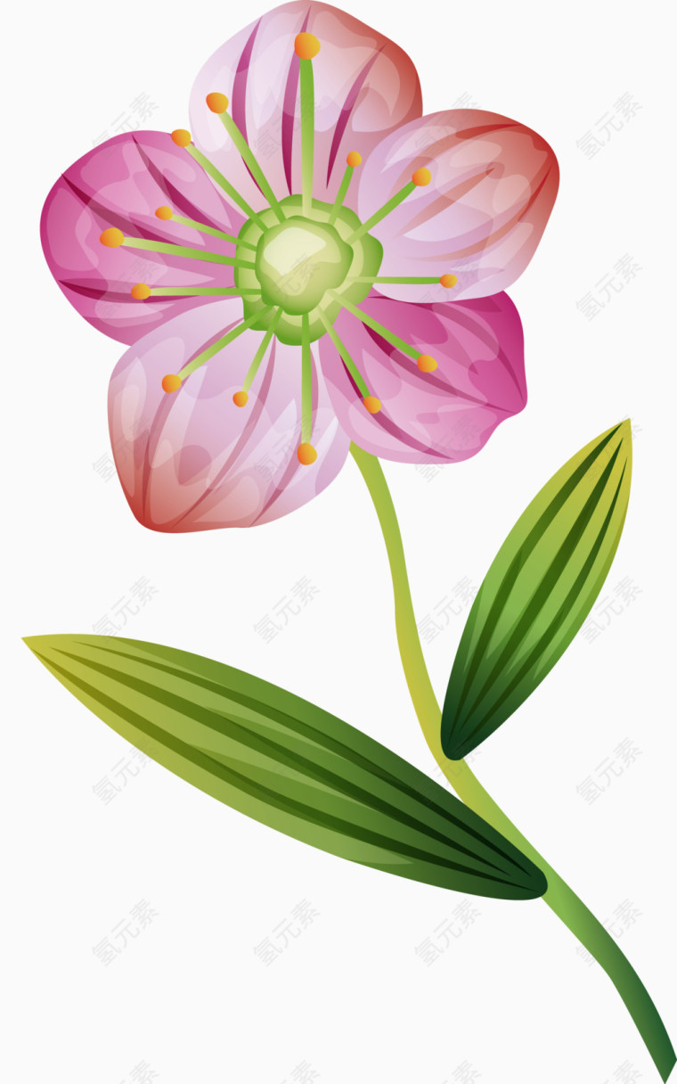 角花