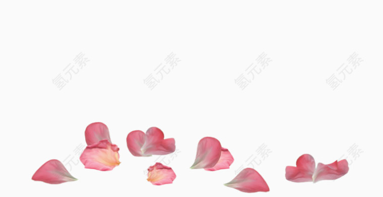 粉色花瓣