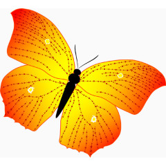 卡通橙色蝴蝶夏天