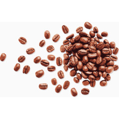 矢量手绘咖啡豆