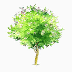 绿色树木图片素材透明树木素材