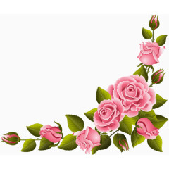 手绘粉色玫瑰角边花