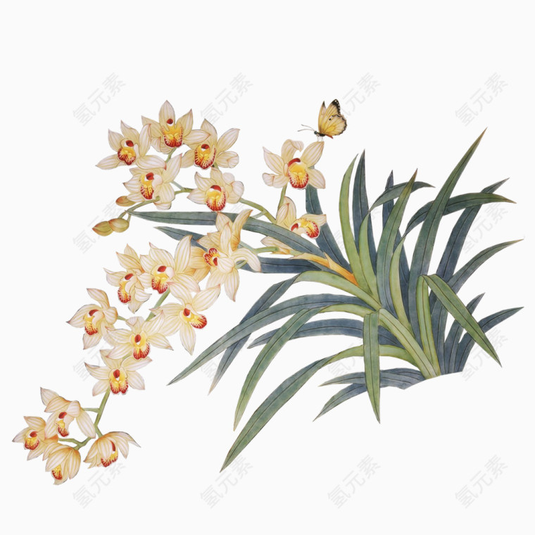 清新唯美水彩兰花png 
