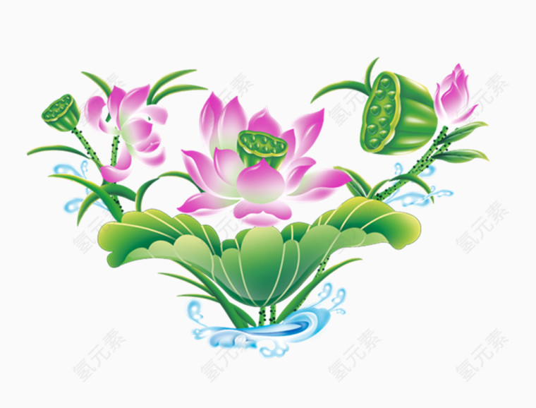 卡通莲花