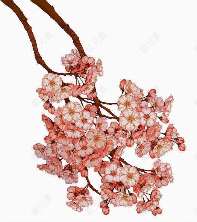 花卉