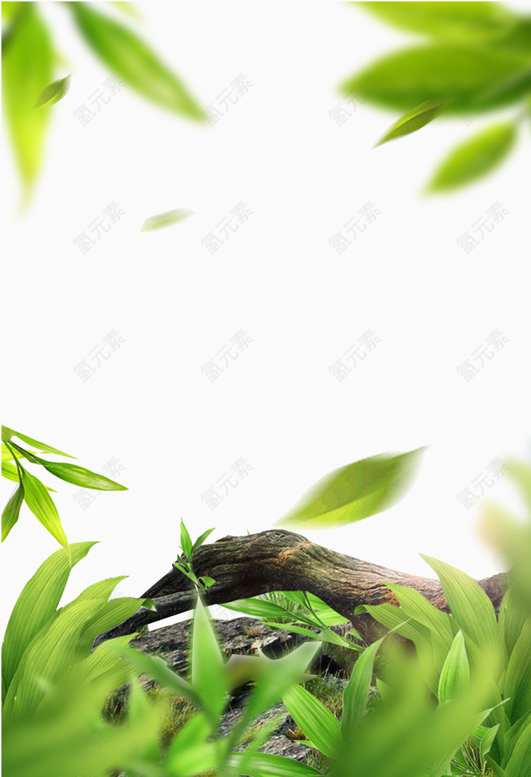 绿色茶叶点缀背景