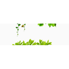 春天绿叶背景装饰