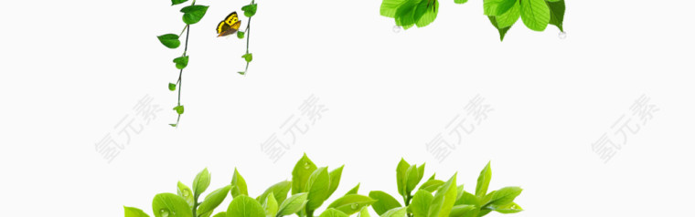 春天绿叶背景装饰