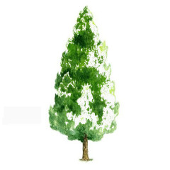 透明树木素材卡通树木图片素材