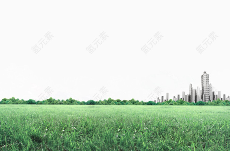 野外草地