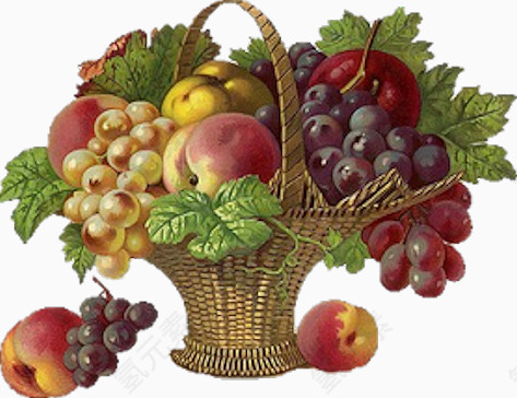 果篮