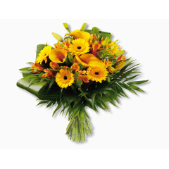 手绘鲜花太阳光